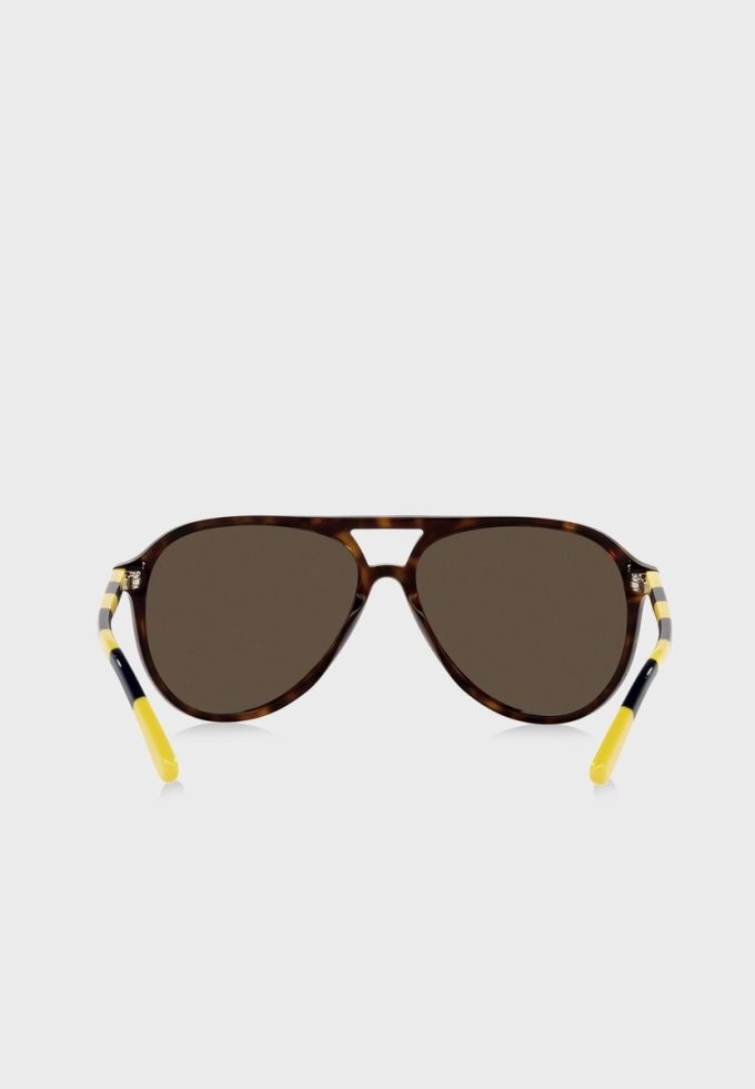 Brown Men’s Ralph Lauren 0Ph4173 Clubmaster Sunglasses Brown Men’s Ralph Lauren 0Ph4173 Clubmaster Sunglasses