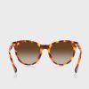 Brown Women’s Ralph Lauren 0Ra5294U Round Sunglasses Brown Women’s Ralph Lauren 0Ra5294U Round Sunglasses